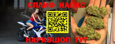 дмт Пушкино