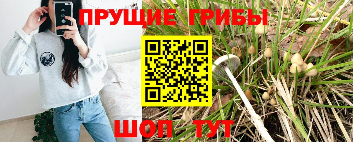 Галлюциногенные грибы GOLDEN TEACHER  Галлюциногенные грибы GOLDEN TEACHER  Салават  Вход с VPN 