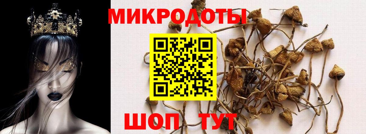 Галлюциногенные грибы Magic Shrooms Салават